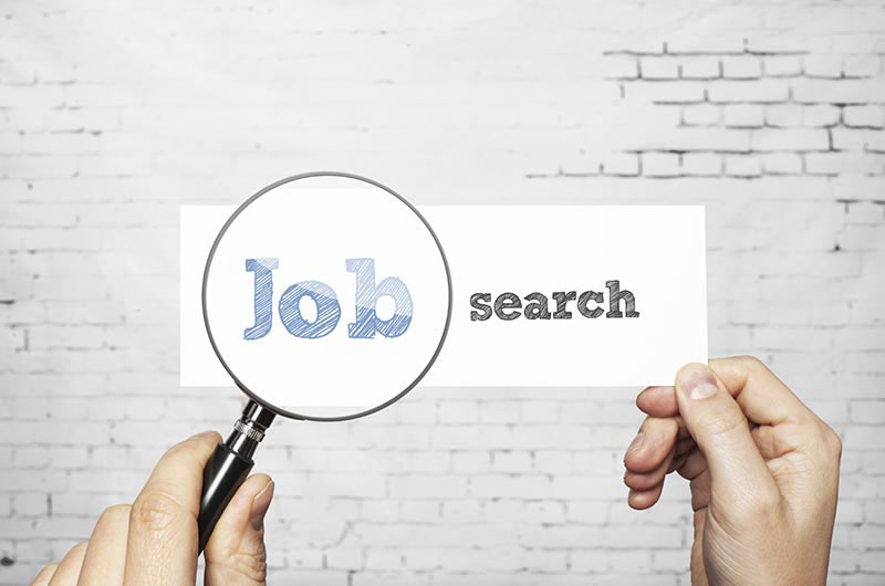 job search